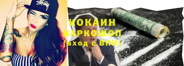 индика Алексин