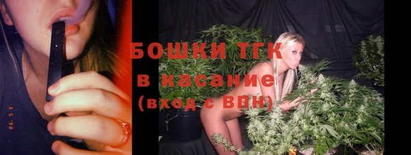 ГАЛЛЮЦИНОГЕННЫЕ ГРИБЫ Абаза