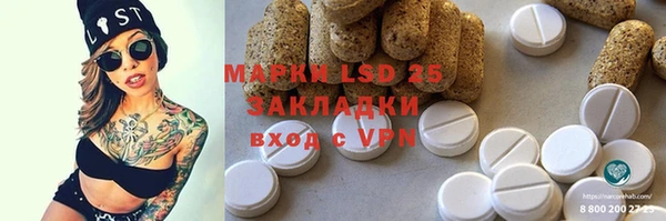 ГАЛЛЮЦИНОГЕННЫЕ ГРИБЫ Абаза