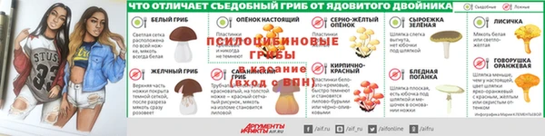 ГАЛЛЮЦИНОГЕННЫЕ ГРИБЫ Абаза
