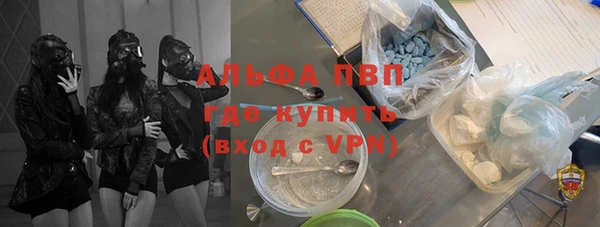 индика Алексин
