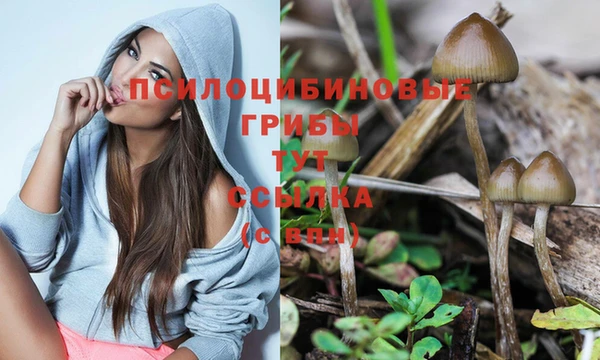гашиш Абинск