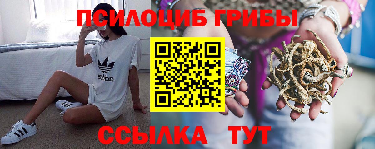 Псилоцибиновые грибы Psilocybine cubensis  Вход с VPN  Краснодар 